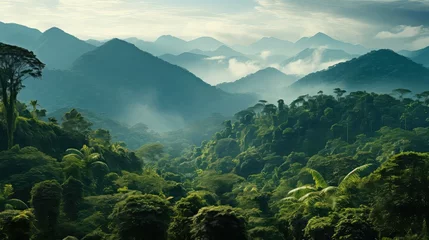 Foto op Plexiglas jungle green rainforest landscape illustration environment leaf, natural foliage, scenic water jungle green rainforest landscape © sevector