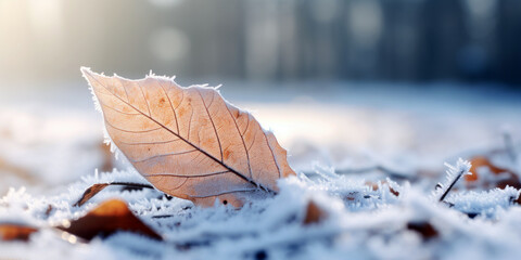 frost on a leaf, with a blurred winter landscape in the background