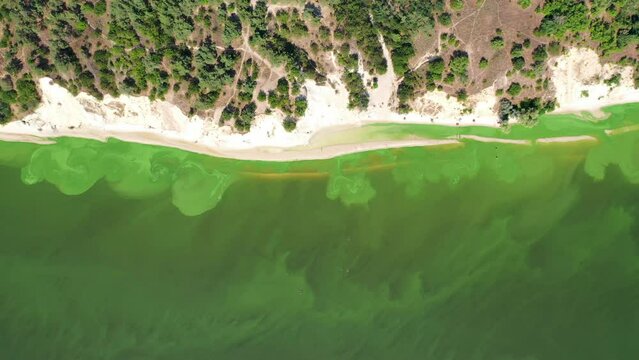 Ukraine, View from the mountain Pivikha on the Kremenchuk water reservoir near Svitlovodsk, Kirovograd region, Ukraine. Natural background in a sunny summer day.