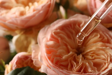 rose oil