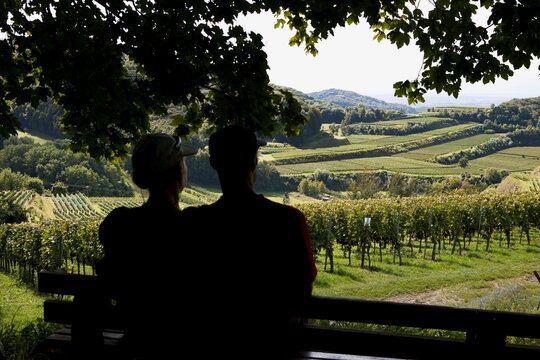 Silhouette Of A Couple Sitting On A Bench Overlooking Rolling Hills Of Vineyards; V. Bickensohl, Germany