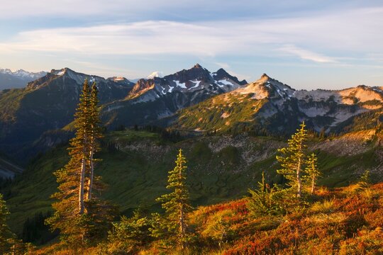 Sunrise Over Tatoosh Mountains In Paradise Park In Mt. Rainier National Park; Washington, United States Of America