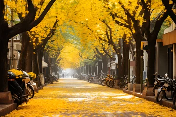Fotobehang The Hanoi street with two rows of trees on both sides, yellow leaves, poetic © h3bs