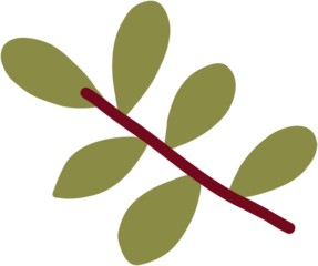 doodle freehand sketch drawing of floral leaf.	