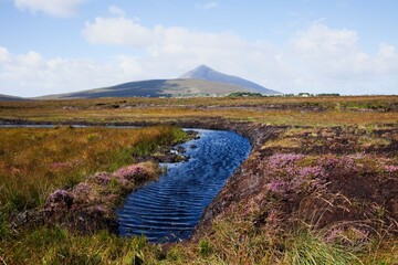 Water Source In Irish Bog; Achill Island, County Mayo, Ireland