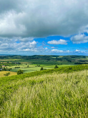 Fototapeta premium Green landscape with hills and trees