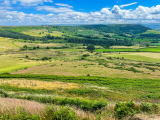 Fototapeta na wymiar Green landscape with hills and trees