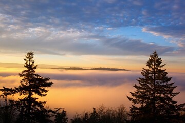 Fototapeta na wymiar Sunrise Through Morning Fog; Willamette Valley, Oregon, United States Of America