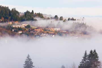 Houses On A Hill Through The Morning Fog; Happy Valley, Oregon, United States Of America