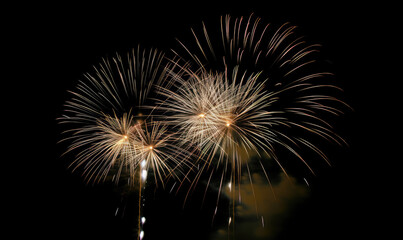 Obraz premium Festive fireworks in the night sky for new year