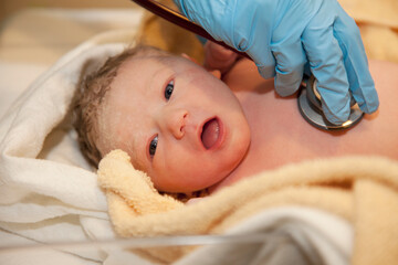 Doctor Checking Newborn Baby Girl; Edmonton, Alberta, Canada