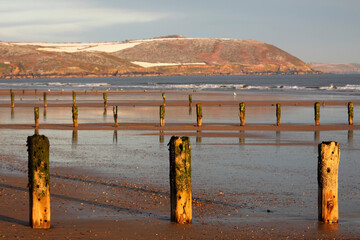 Posts Along The Shoreline In Winter; Youghal Beach, East Cork, Ireland