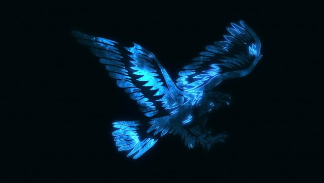 Blue Eagle Hawk Animated Logo - Loop Graphic Element Overlay