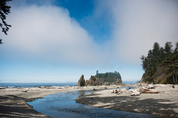 Driftwood And Rock Formations Along The Coast; Abbey Island Washington United States Of America