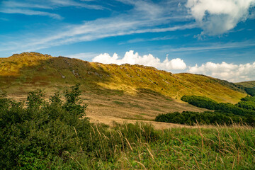 A mountain range in the Bieszczady Mountains in the area of Tarnica, Halicz and Rozsypaniec.