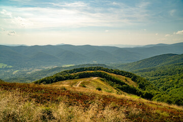 A mountain range in the Bieszczady Mountains in the area of Tarnica, Halicz and Rozsypaniec.