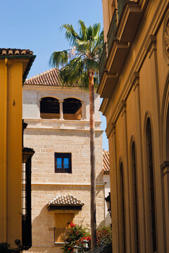 Buenavista Palace Which Houses The Picasso Museum; Malaga, Spain