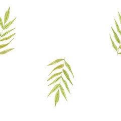 Watercolor seamless pattern with green tropical leaves. Watercolor botanical illustration, palm branch with leaves for textiles, wallpaper