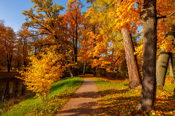 Golden autumn (fall) in Alexander park, Tsarskoe Selo (Pushkin), Saint Petersburg, Russia