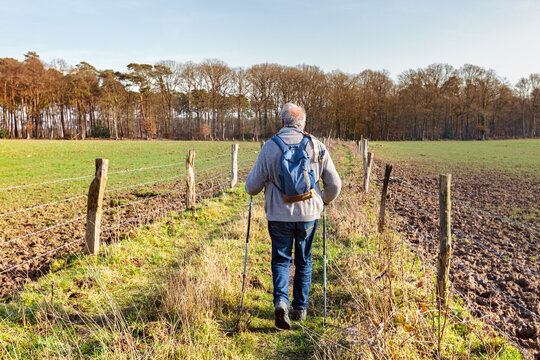 Elderly man walks through the countryside with walking sticks