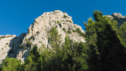 Fototapeta na wymiar Rocky ridge in the middle of the trees