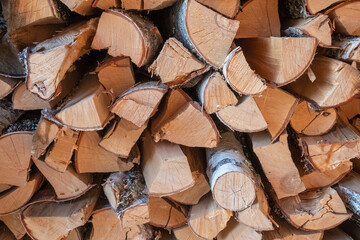 Birch logs stacked in a woodpile