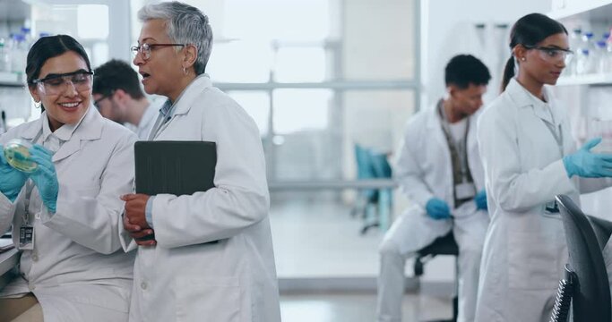 Science, mentor and pharmacy with people in laboratory for learning, medical and vaccine. Training, internship and healthcare study with student and professor for research, biotechnology and teamwork