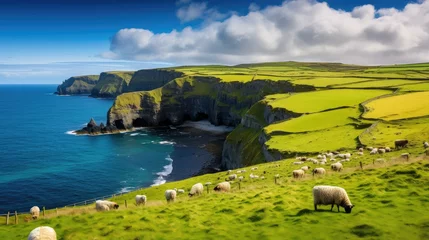 Foto op Plexiglas coastline irish coastal countryside illustration ocean coast, ireland nature, beautiful seascape coastline irish coastal countryside © sevector