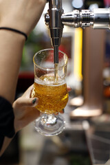 bartender pouring draft beer into a glass