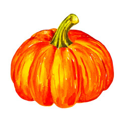 Watercolor orange pumpkin fall autumn season hand drawn clipart