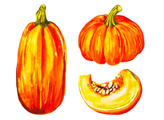 Watercolor set of pumkins three autumn cliparts hand drawn