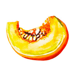 Slice of pumkin with seeds watercolor hand drawn isolated clipart