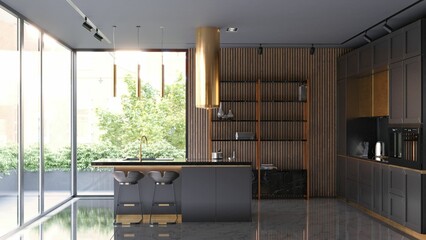 modern dark kitchen interior.
