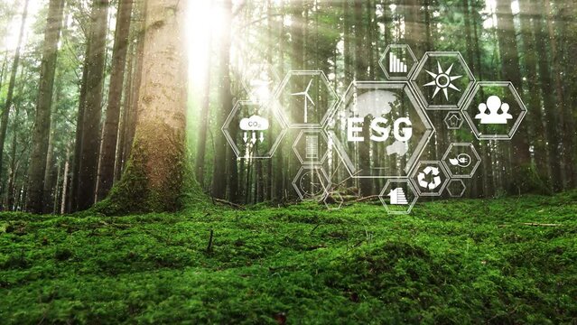 ESG eco icons in magic sunny forest. 