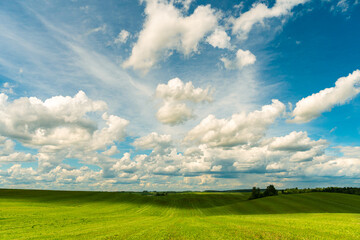 Gorgeous colorful beautiful clouds over a hilly agricultural field. Young green wheat grows in an ecologically clean area. A natural landscape in the countryside.