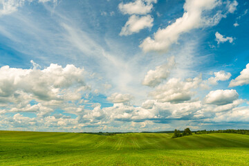 Gorgeous colorful beautiful clouds over a hilly agricultural field. Young green wheat grows in an ecologically clean area. A natural landscape in the countryside.