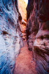 White Domes Trail