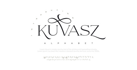 Kuvasz Elegant Font Uppercase Lowercase and Number. Classic Lettering Minimal Fashion Designs. Typography modern serif fonts regular decorative vintage concept. vector illustration