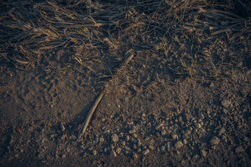 spring roads outside the city