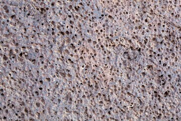 Surface of a volcanic rock with vesicular texture