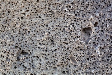Surface of a volcanic rock with vesicular texture