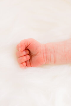 A close-up of a newborn baby's arm with his or her fingers curled against the palm. 