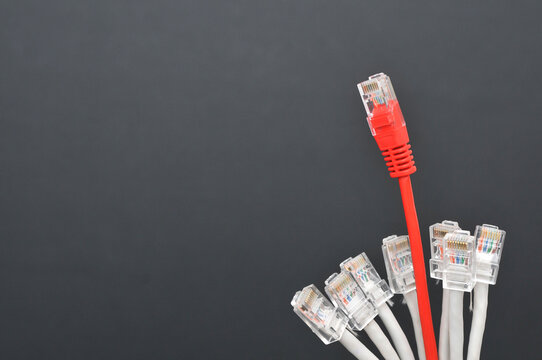 Bouquet of network internet cable isolated on black background