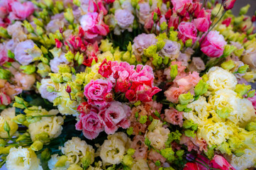 Colorful bouquet of flowers ustoma lisianthus or prairie gentian, growing in Dutch greenhouse, flora of the Netherlands, flowers background