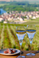 Tasting of premier cru sparkling rose wine with bubbles champagne with view on green pinot noir,...
