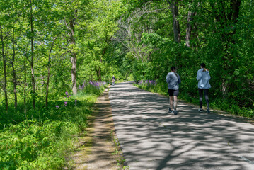 People enjoying an afternoon outing in spring on the Fox River Trail near De Pere, Wisconsin
