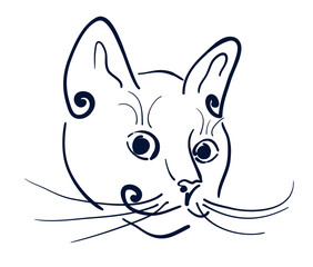 Doodle cat muzzle