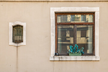 Fenster mit Blumentopf und Taube