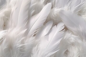 Fototapeta premium Weiße Federn als Hintergrundbild. Daunen für Kissen oder industrielle Nutzung.. Vogelfedern auf einen Haufen als Textur. 