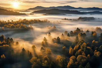Beautiful autumn forest sunrise with fog